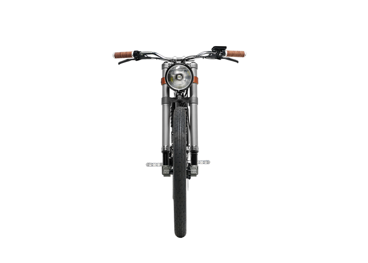 Roadster Premium Electric Bike | Vintage electric bikes