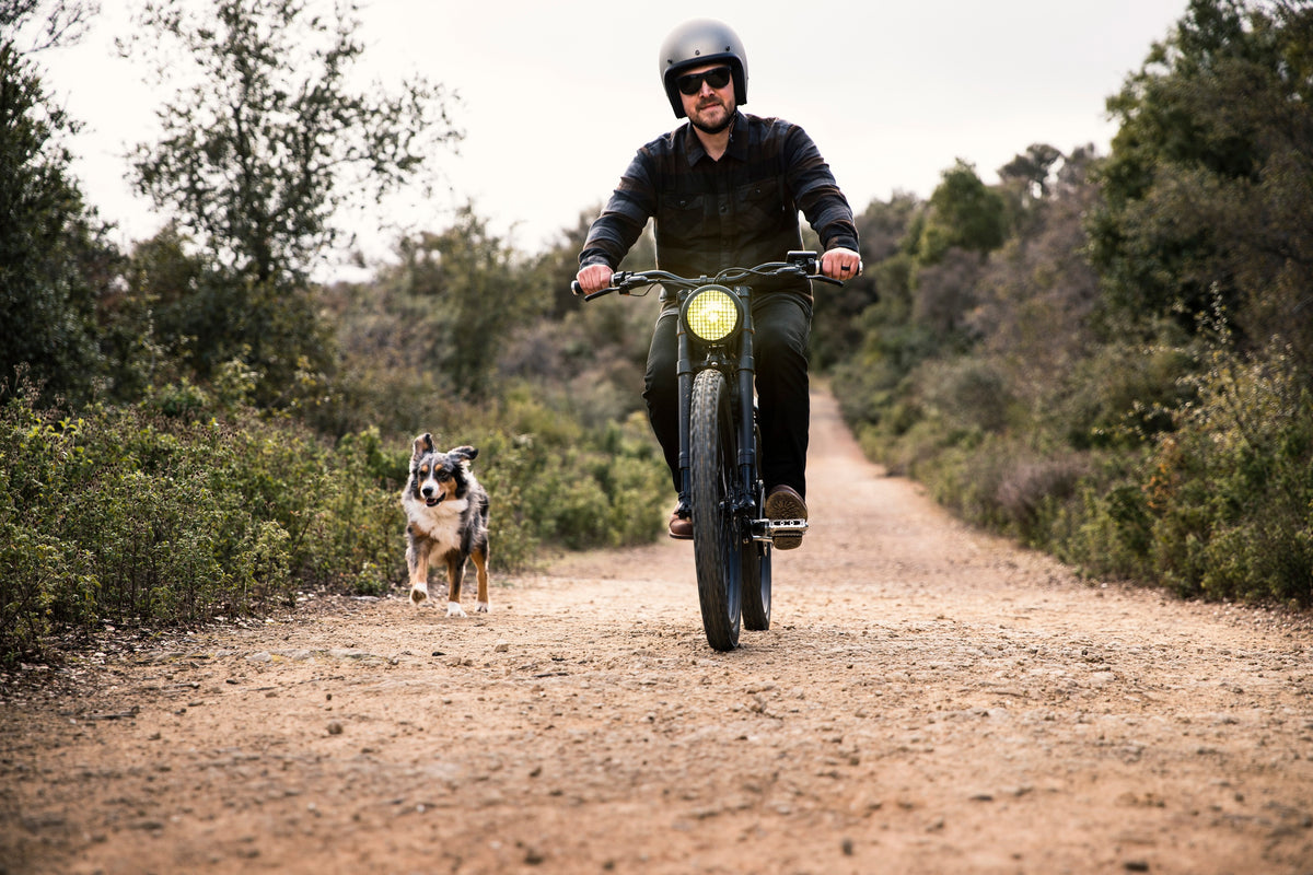 Lifestyle photograph of a helmeted Vintage rider and a dog exploring a trail on an earlier-model Scrambler.